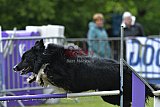 Canis donderdag