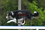 Canis donderdag