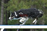 Canis donderdag