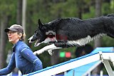 Canis donderdag