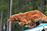 Canis donderdag