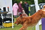 Canis donderdag