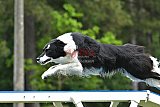Canis donderdag