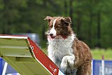 Canis donderdag