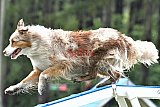 Canis donderdag
