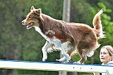 Canis donderdag