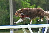Canis donderdag