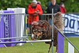 Canis donderdag