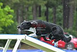 Canis donderdag