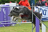 Canis donderdag