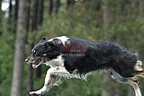 Canis donderdag