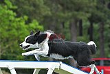 Canis donderdag