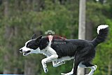 Canis donderdag