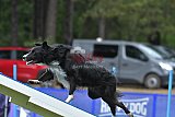 Canis donderdag
