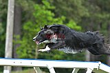 Canis donderdag