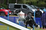 Canis donderdag