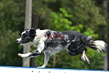Canis donderdag