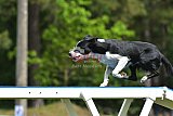 Canis donderdag