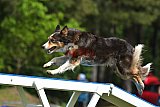 Canis donderdag