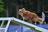 Canis donderdag