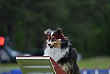 Canis donderdag