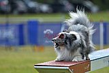 Canis donderdag
