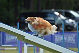 Canis donderdag