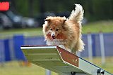 Canis donderdag
