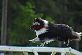 Canis donderdag