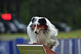 Canis donderdag