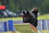 Canis donderdag