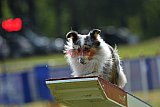 Canis donderdag