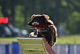 Canis donderdag