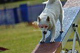Canis donderdag