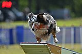 Canis donderdag