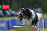 Canis donderdag