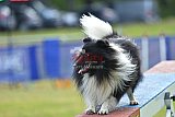 Canis donderdag
