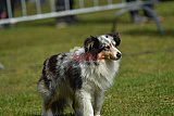 Canis donderdag