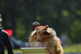 Canis donderdag