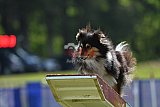 Canis donderdag