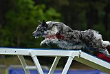 Canis donderdag
