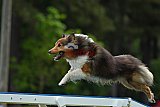 Canis donderdag