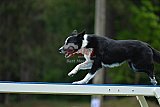 Canis donderdag