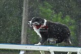 Canis donderdag