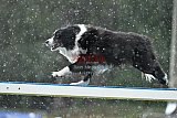 Canis donderdag