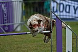 Canis donderdag