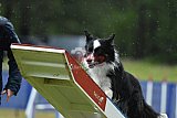 Canis donderdag
