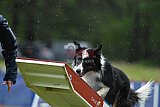 Canis donderdag