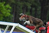 Canis donderdag