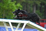 Canis donderdag